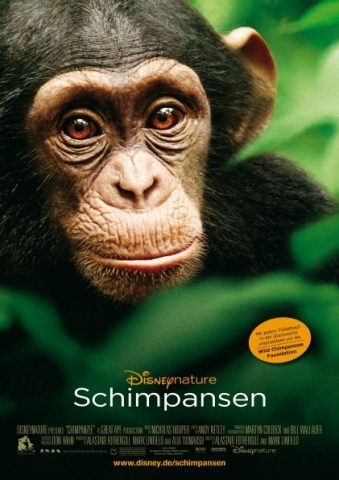 Filmplakat Schimpansen