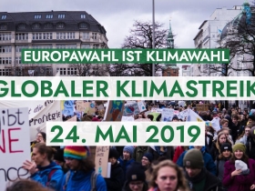 Klimastreik zur Europawahl 